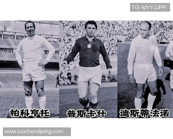 姜堰足球明星盘点及其在中国足球历史中的重要地位分析